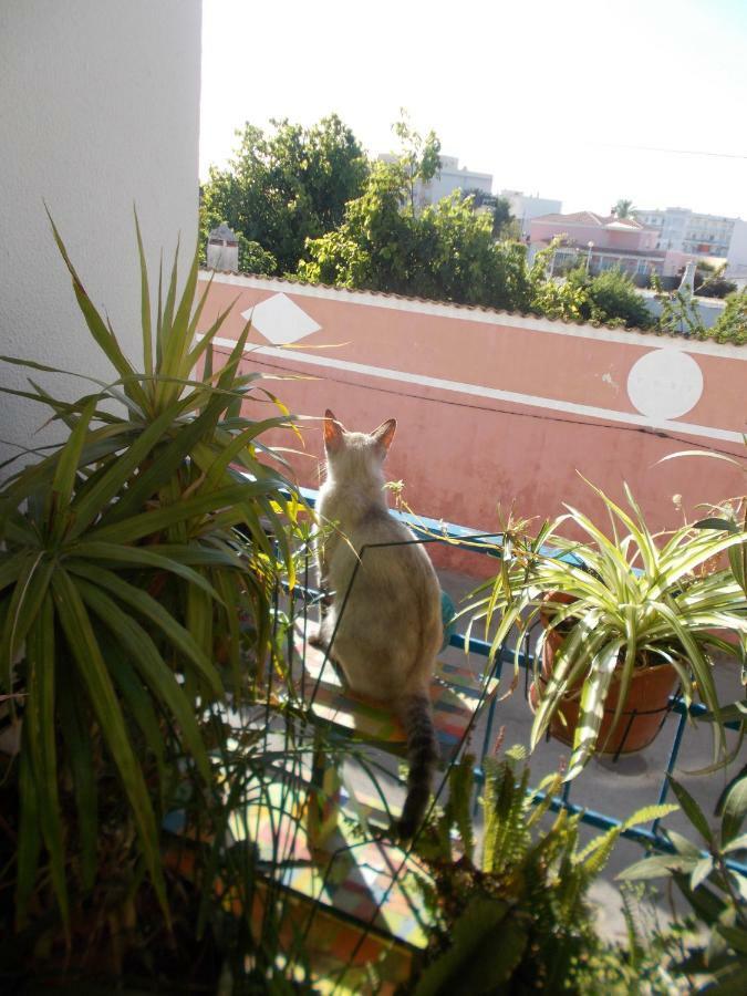 Ztir Apartment Olhao Luaran gambar