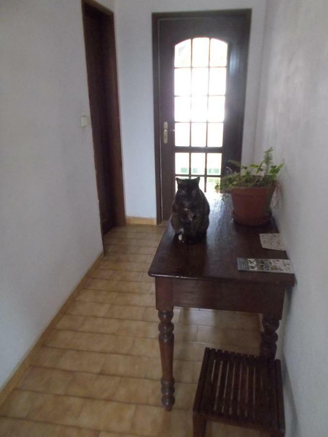 Ztir Apartment Olhao Luaran gambar