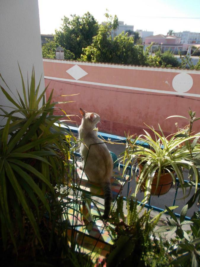 Ztir Apartment Olhao Luaran gambar